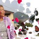 윤경옥 보라빛 엽서 KBS 전국노래자랑 (1926회 창원시편) 최우수 수상 이미지