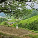 봇재다원화장실 이미지