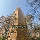 압구정-114 이미지