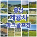 신도안면 파크골프장 이미지