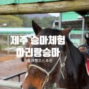 마리랑승마 | 제주도 승마체험 마리랑승마 초보자도 추천하는 애월 여행코스