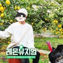 레몬뮤지엄(Lemon Museum)