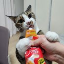 서연테크