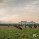 제동농장 이미지