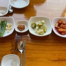 토속한방삼계탕 | 복날에 반드시 먹어야하는 강동구 삼계탕 맛집 '토속한방삼계탕' 내돈내산 솔직후기