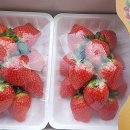 탑산후조리원 이미지