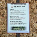 오리명가 | 오리백숙 제대로 하는 장암역 맛집 명가오리숯불구이 방문 후기