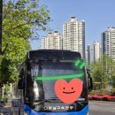 🌿🌿 양평 용문산 산나물 축제 후기 🌿🌿