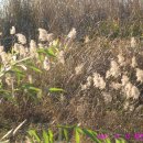 원천유원지 이미지