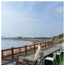 오션스케치