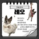 레오문화홀 이미지