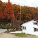 동남펜션 이미지