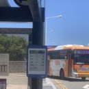 수주세탁소 | 250629. 라이브온 부산 원위X드래곤포니 | 취뽀 이슈로 약 열흘만에 원위 또 보기 | 차애는 강현구가되...