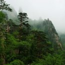 운수초교 이미지