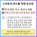 시원마이크로 이미지