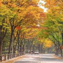 목동동로6길 이미지