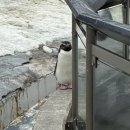 도산주유소 | 북해도(훗카이도) 3박 4일 여행