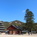 속리산 법주사 이미지