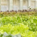 성주농장 이미지