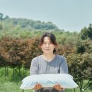 속통상회