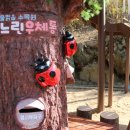 물맑음수목원 목재문화체험장 이미지