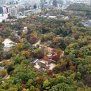 왕의 정원 이미지