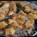 숲속의 정원 | 숲속의정원 돼지양념갈비 도시락 후기