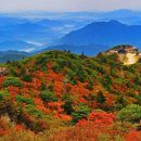 덕유산황우곱창