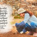 붓펜 감성 수채캘리 이미지