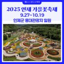 웰빙 김치 만들기 | [2025 인제 가을꽃축제] 수도권 2시간! 일정, 체험, 주차, 장소,푸드트럭, 이벤트, 꿀팁 &amp; 반려동물안내...