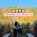 신길공원 화장실(관리사) | 강원도 여행 가을 단풍 태백산국립공원 태백호텔 수영장 가족숙소