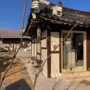 고요 이웃 이미지