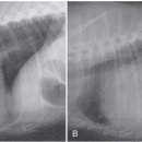 전동물병원 이미지
