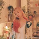 케이시 카카오 검색결과