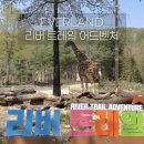 에버랜드 사파리 로스트밸리 리버 트레일 어드벤처 예약방법•체험 후기