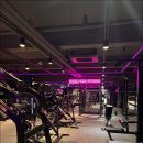 덤덤 휘트니스 이미지