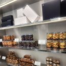 오델리스 이미지