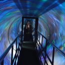 덕소자연사박물관 이미지