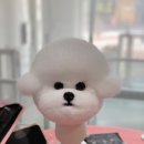 귀엽꾸멍 이미지