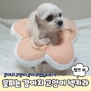 1393 쇼핑하우