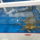 세종종합수산
