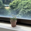 벤첼리 | [ 춘천 ] 신상 계곡 카페 “벤첼리” 방문기☕️