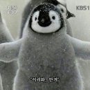 펭귄PC방 이미지