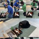 에스비글로벌 이미지