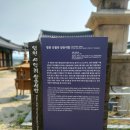 영천 신월리 삼층석탑 | 영천여행, 신월리삼층석탑/새영천알림이단