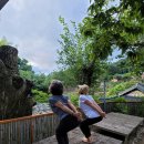 영남알프스 복합웰컴센터 세미나실 이미지