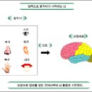 오감_ 당신의 감각에 날을 세워라 이미지