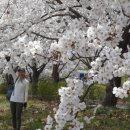 배짱오락 이미지