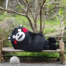 단비 이미지