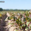 이상근농장 이미지